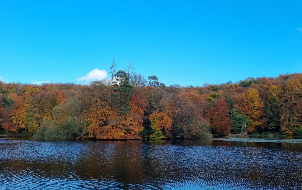 Masslough, Ballinakill